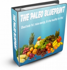 The Paleo Blueprint - PLR